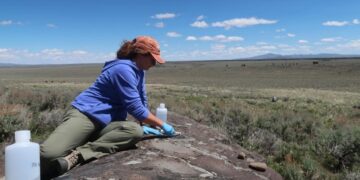 Archaeologists Discover Forgotten Foods Hidden in 15,000-Year-Old Kitchens