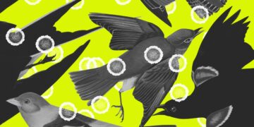 Capitalism vs. the bird flu