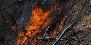 The Extreme Weather Conditions That Drove the Carolina Wildfires