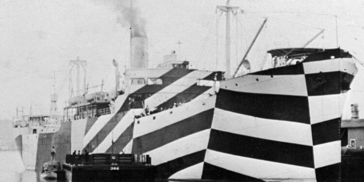 A Visual Illusion Fooled Everyone – Even the Camouflage Experts