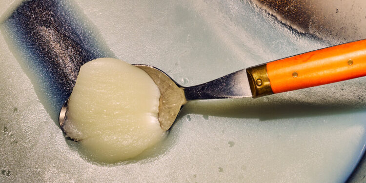 How Beef Tallow Made a Comeback