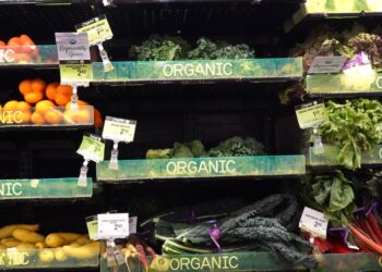 Donald Trump broke the law by removing climate change references from USDA websites, lawsuit alleges