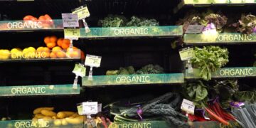 Donald Trump broke the law by removing climate change references from USDA websites, lawsuit alleges