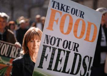 ‘Shattering blow’ to farmers over pause to environmental payment scheme | UK News