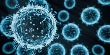 H5N1 strain of bird flu has potential to become pandemic, says UK expert | Science, Climate & Tech News