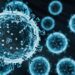H5N1 strain of bird flu has potential to become pandemic, says UK expert | Science, Climate & Tech News