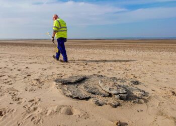 Race to clean up billions of plastic ‘nurdles’ that washed up in UK after tanker crash | UK News