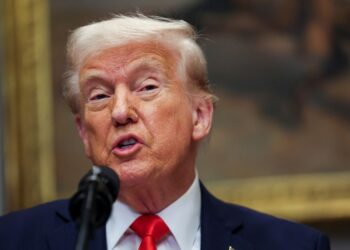 Trump moves to exclude carmakers from tariff pain | US News