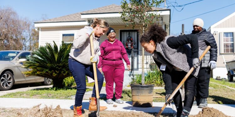 Trump administration DEI cuts hit nationwide tree planting effort : NPR