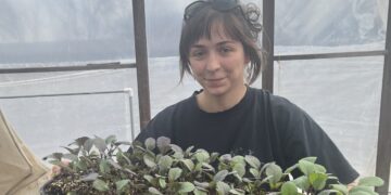 Gardeners trying to avoid plastic containers are turning to soil blocking : NPR