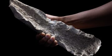Early humans made tools from animal bones 1.5 million years ago : NPR