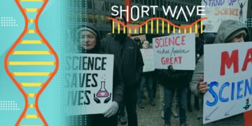 How the Trump administration is affecting health, here and abroad : Short Wave : NPR