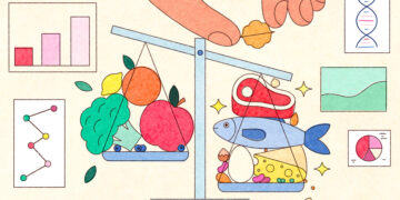 Is More Protein Better for You? Fact-Checking Claims on Social Media