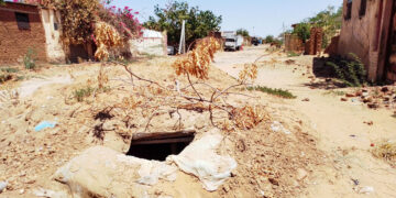 Sudan Clinic Workers Killed in Zamzam Camp