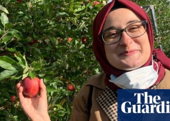 Tufts student says she has suffered multiple asthma attacks in Ice custody | US immigration