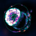 Lab-grown models of embryos increasingly resemble the real thing