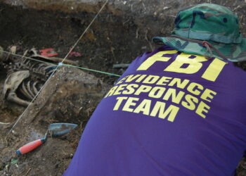 A new technique to work out a corpse’s time of death