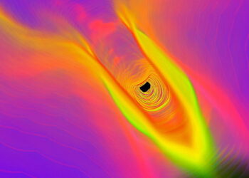 A flexible patch could help people with voice disorders talk