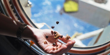 What does space miso taste like?