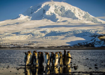 Five crazy Trump tariffs you wouldn’t believe 