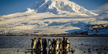 Five crazy Trump tariffs you wouldn’t believe 