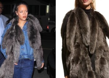 Rihanna’s Giorgio Baldi Dior Hooded Denim Jacket, Agolde Dame Jeans, and Bottega Veneta Tails Scarf