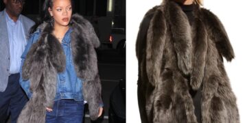 Rihanna’s Giorgio Baldi Dior Hooded Denim Jacket, Agolde Dame Jeans, and Bottega Veneta Tails Scarf