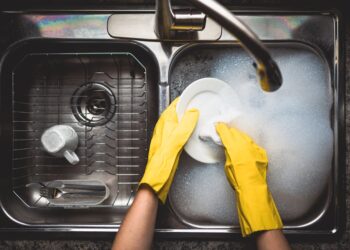 Does Your Kitchen Sink Have Bacteria That Could Make You Sick?