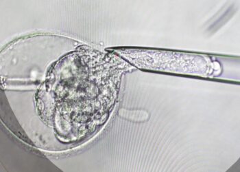 Australian Woman Unknowingly Gives Birth To Stranger’s Baby After IVF Error