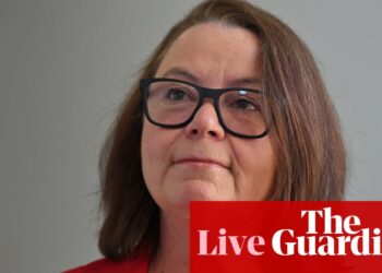 Australia election 2025 live: Dutton’s gas plan has ‘reckless’ lack of detail, resources minister says | Australia news