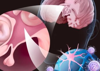 New Drug Delivery Tech Could Change How We Treat Cancer and Alzheimer’s