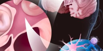 New Drug Delivery Tech Could Change How We Treat Cancer and Alzheimer’s