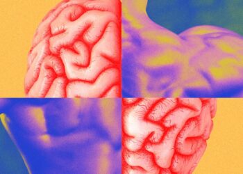 Muscle Memory Isn’t What You Think It Is