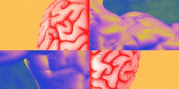 Muscle Memory Isn’t What You Think It Is