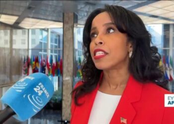 USAID funding cuts: "We are just realigning foreign aid", says the US