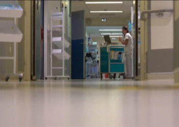 Reunion Island launches emergency health plan amid chikungunya epidemic