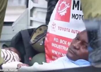 Tanzania: two officials from the opposition party, Chadema, arrested