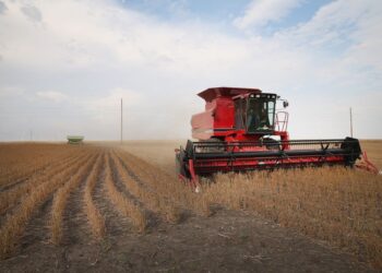 Trump Tariffs, Trade War Disrupt U.S. Agriculture Sector