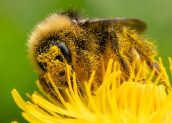 Welcome to the Worst Allergy Season Ever