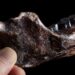Mystery Fossil From Taiwan Identified As Denisovan – A Game-Changer for Human Evolution