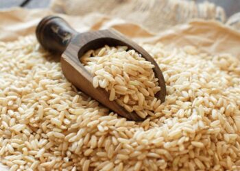 Is Brown Rice Really Healthier? Shocking Study Reveals a Hidden Risk