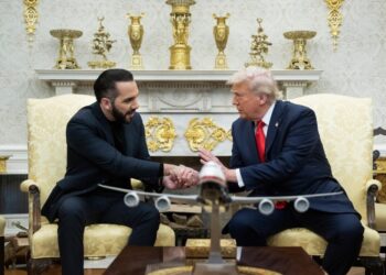 Trump, Bukele Discuss Deportation Flights to El Salvador