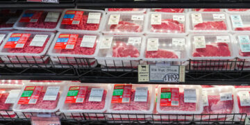 What We Know About Phthalates in Plastic and Heart Disease