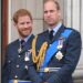 Prince Harry’s ‘Unusual’ Exit From Royal Life Led To Downgraded Security