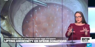 Sperm and egg donors: Lifting anonymity in France
