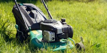 Britons urged to stop mowing lawns to boost butterfly numbers ‘in long-term decline’ | UK News
