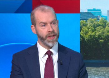 Minister says he wouldn’t bring China into ‘sensitive’ steel industry again | Politics News