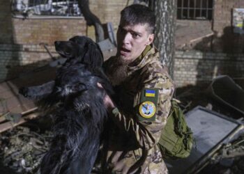 Russian foreign minister Sergei Lavrov says US and Moscow moving in ‘right direction’ for Ukraine peace | World News