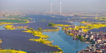 ‘Unstoppable force’ of solar power propels world to 40% clean electricity, report finds | Science, Climate & Tech News