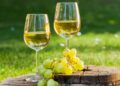 Drinking white wine could reduce risk of cardiac arrest – study | UK News